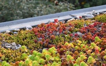 the cost of Gromford green roof installation