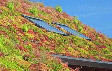 Gromford living roof systems